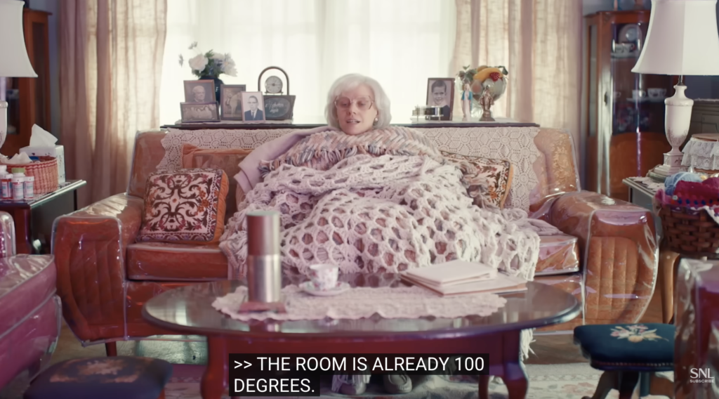 SNL Amazon Echo Silver screenshot